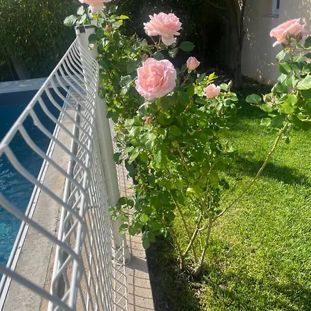 Climatise Avec Piscine Et Jacuzzi Carpentras